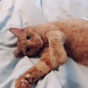 EVERYTHING AFTER THIS IS SOLD!!